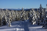 Chief Joseph Cross-Country Skiing